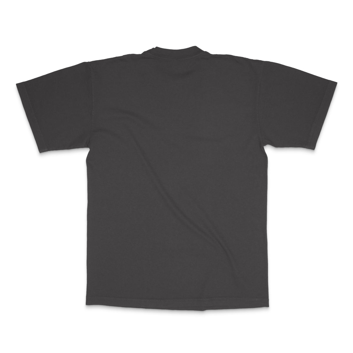 WE ARE STARDUST - S/S TEE - FADED BLACK